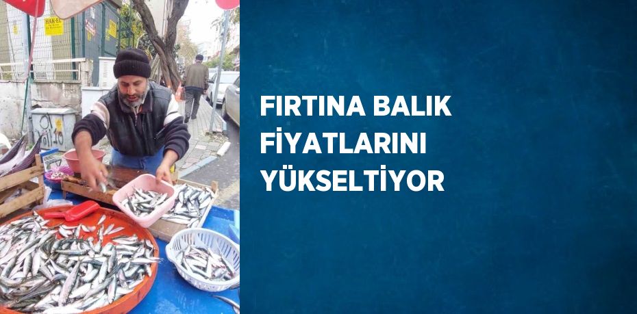 FIRTINA BALIK FİYATLARINI YÜKSELTİYOR