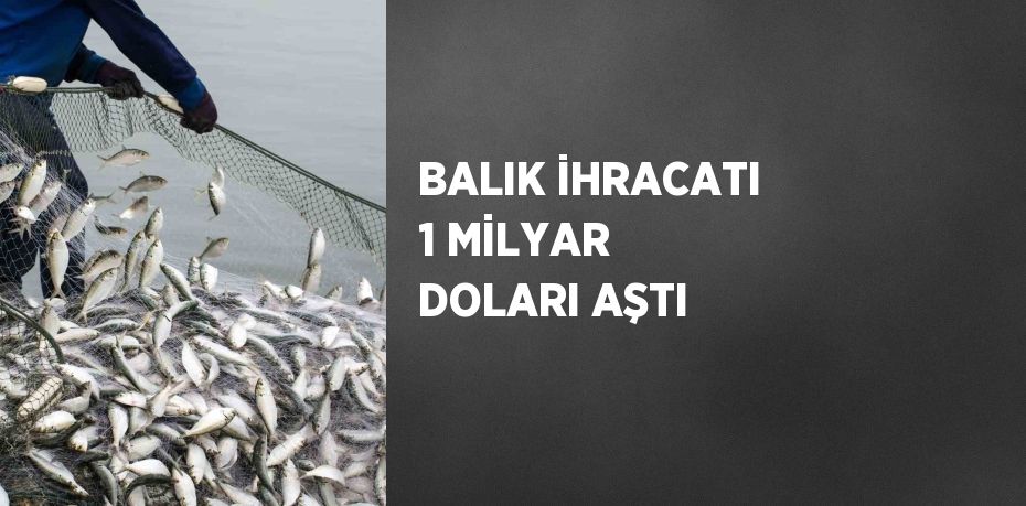 BALIK İHRACATI 1 MİLYAR DOLARI AŞTI