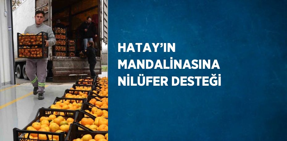 HATAY’IN MANDALİNASINA NİLÜFER DESTEĞİ