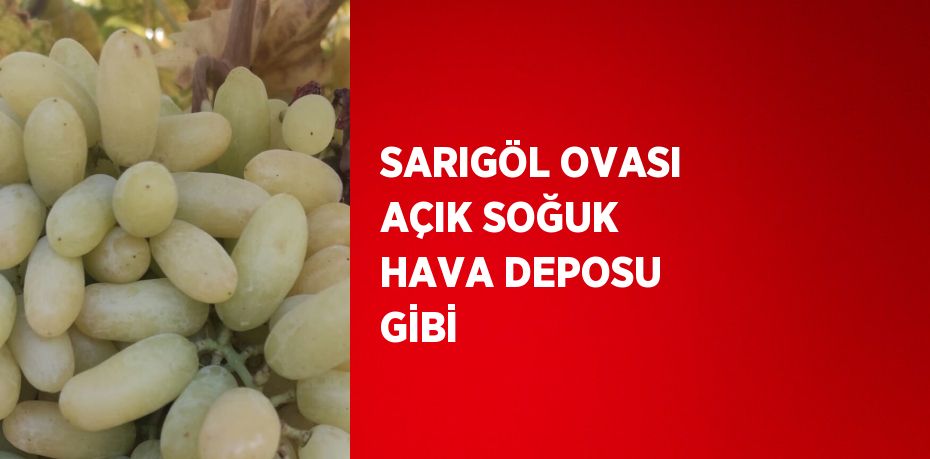 SARIGÖL OVASI AÇIK SOĞUK HAVA DEPOSU GİBİ