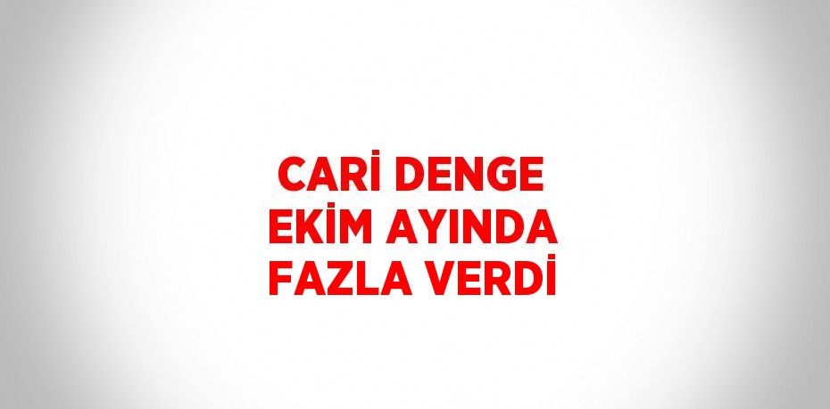 CARİ DENGE EKİM AYINDA FAZLA VERDİ