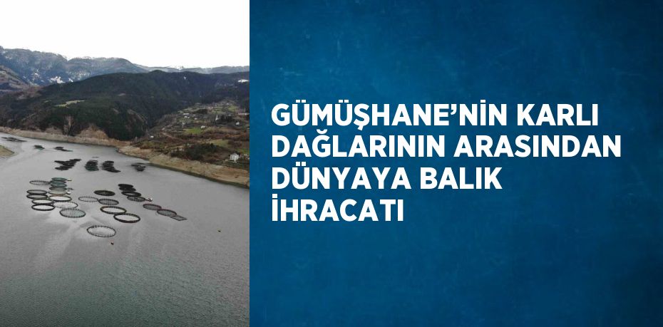 GÜMÜŞHANE’NİN KARLI DAĞLARININ ARASINDAN DÜNYAYA BALIK İHRACATI