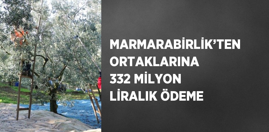 Marmarabirlik, devam eden 2023/2024