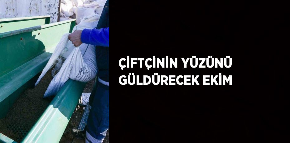 ÇİFTÇİNİN YÜZÜNÜ GÜLDÜRECEK EKİM