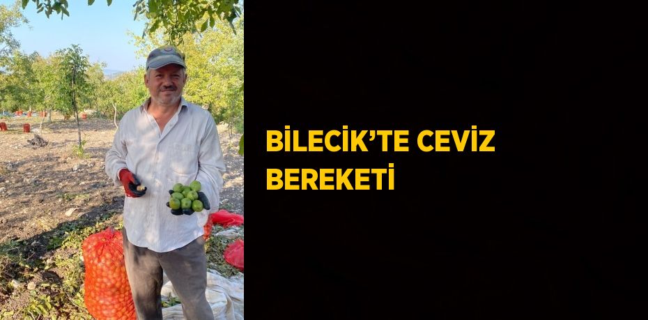 Bilecik’in Gölpazarı ilçesi ceviz