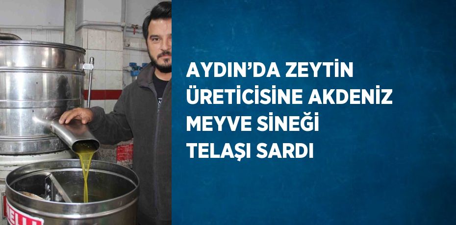 Türkiye’nin en fazla zeytin