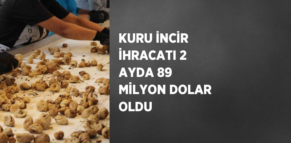 KURU İNCİR İHRACATI 2 AYDA 89 MİLYON DOLAR OLDU