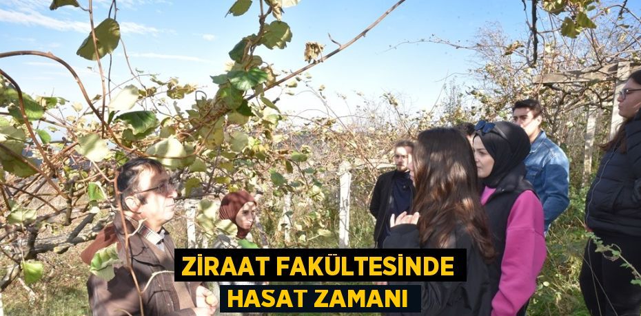 ZİRAAT FAKÜLTESİNDE HASAT ZAMANI