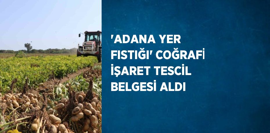 ‘ADANA YER FISTIĞI’ COĞRAFİ İŞARET TESCİL BELGESİ ALDI