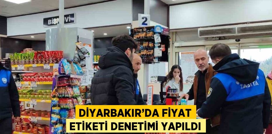 Diyarbakır Büyükşehir Belediyesi, kent