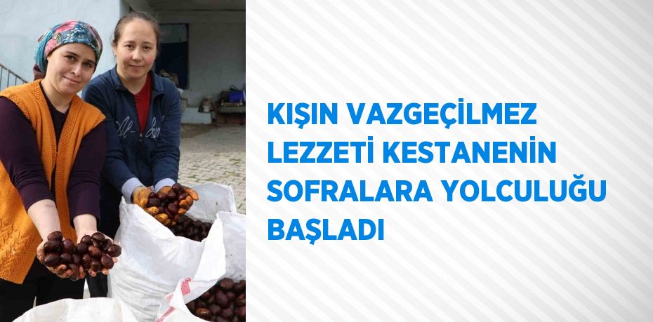 KIŞIN VAZGEÇİLMEZ LEZZETİ KESTANENİN SOFRALARA YOLCULUĞU BAŞLADI