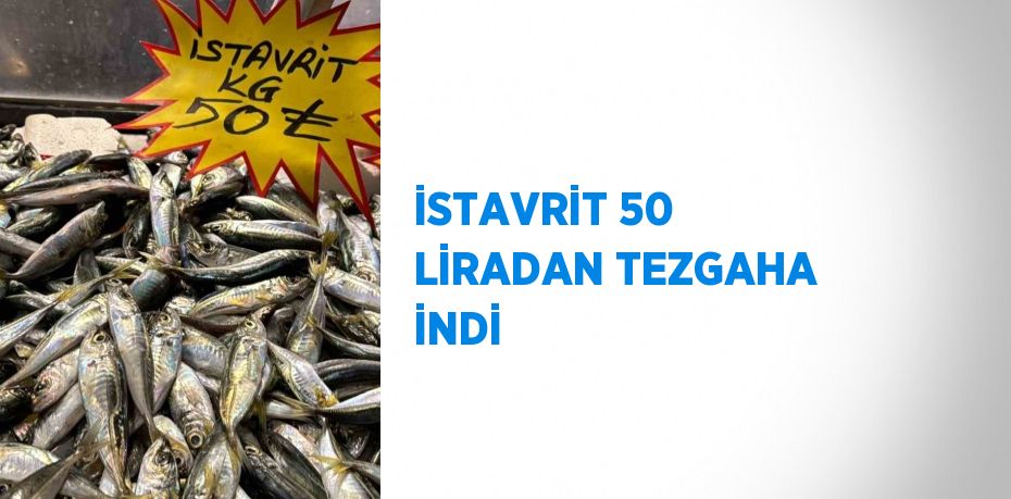 İSTAVRİT 50 LİRADAN TEZGAHA İNDİ