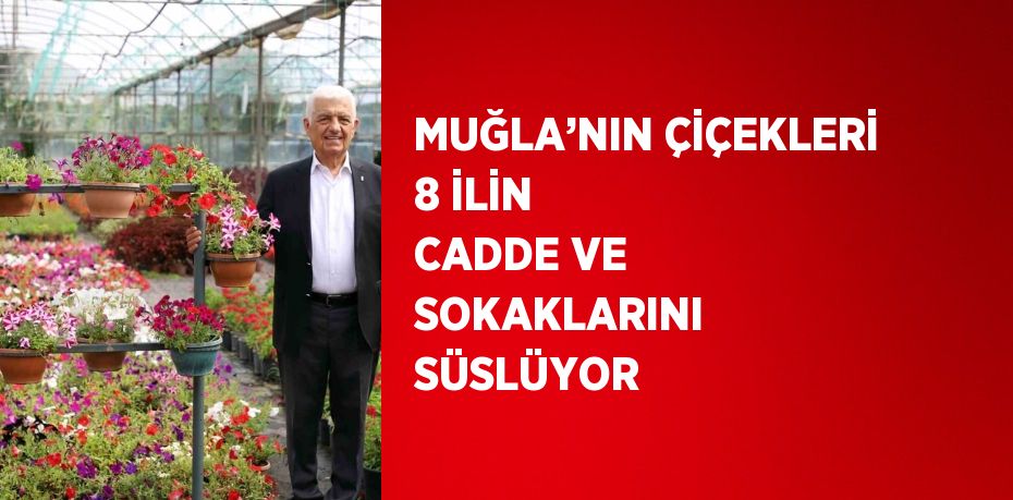 Muğla Büyükşehir Belediyesi ve