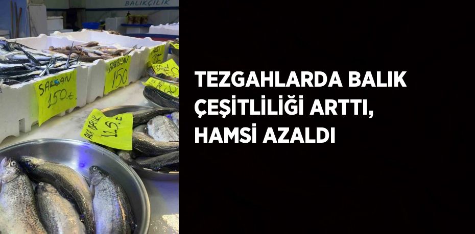 TEZGAHLARDA BALIK ÇEŞİTLİLİĞİ ARTTI, HAMSİ AZALDI