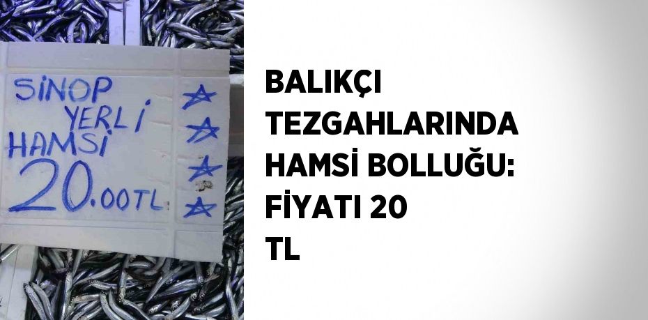 BALIKÇI TEZGAHLARINDA HAMSİ BOLLUĞU: FİYATI 20 TL