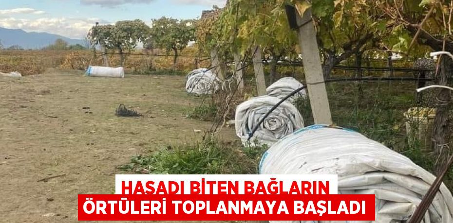 Temmuz ayında örtü altına