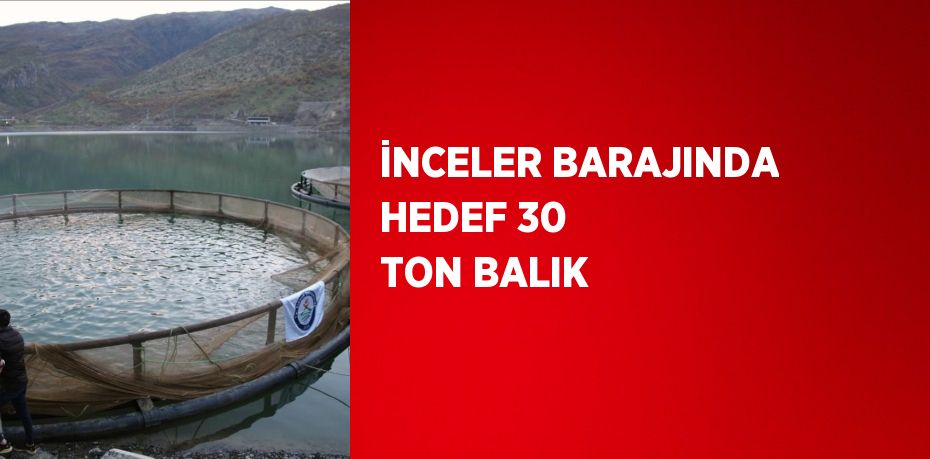 İNCELER BARAJINDA HEDEF 30 TON BALIK