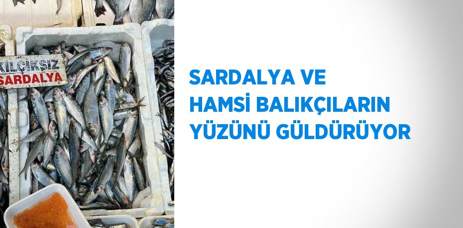 SARDALYA VE HAMSİ BALIKÇILARIN YÜZÜNÜ GÜLDÜRÜYOR