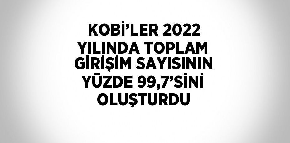 KOBİ’LER 2022 YILINDA TOPLAM GİRİŞİM SAYISININ YÜZDE 99,7’SİNİ OLUŞTURDU