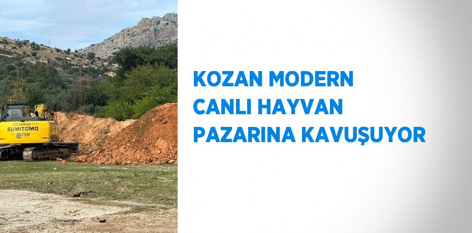 KOZAN MODERN CANLI HAYVAN PAZARINA KAVUŞUYOR