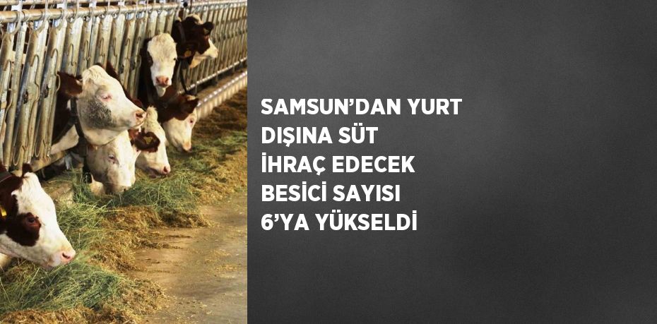 Samsun’da Avrupa Birliği ülkelerine