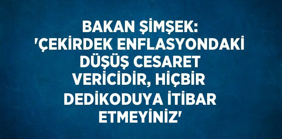 BAKAN ŞİMŞEK: ‘ÇEKİRDEK ENFLASYONDAKİ DÜŞÜŞ CESARET VERİCİDİR, HİÇBİR DEDİKODUYA İTİBAR ETMEYİNİZ’