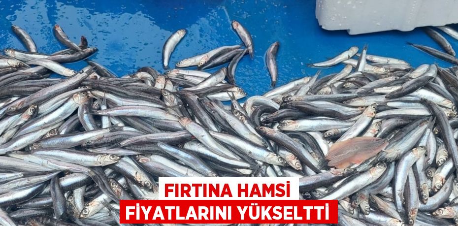 FIRTINA HAMSİ FİYATLARINI YÜKSELTTİ