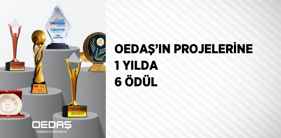 OEDAŞ’IN PROJELERİNE 1 YILDA 6 ÖDÜL