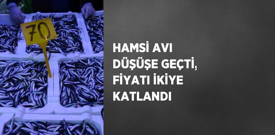 HAMSİ AVI DÜŞÜŞE GEÇTİ, FİYATI İKİYE KATLANDI