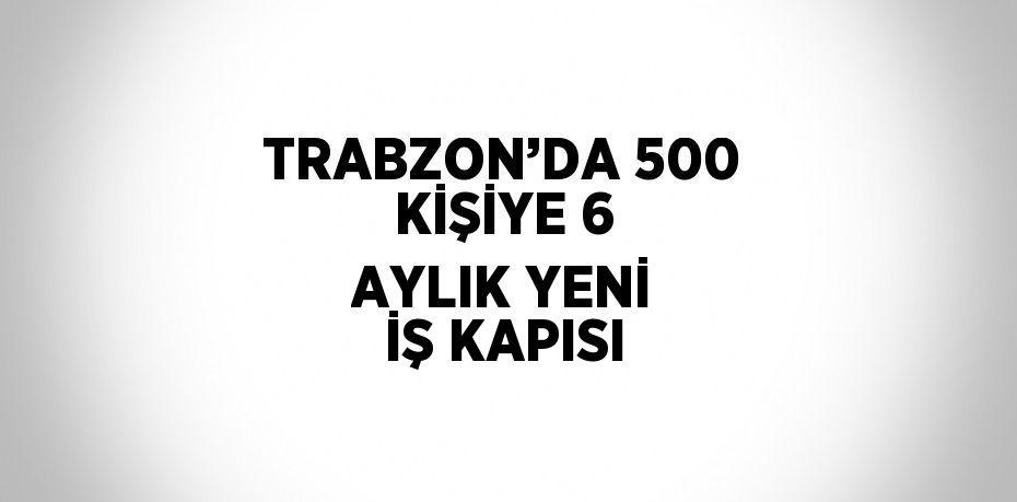 TRABZON’DA 500 KİŞİYE 6 AYLIK YENİ İŞ KAPISI