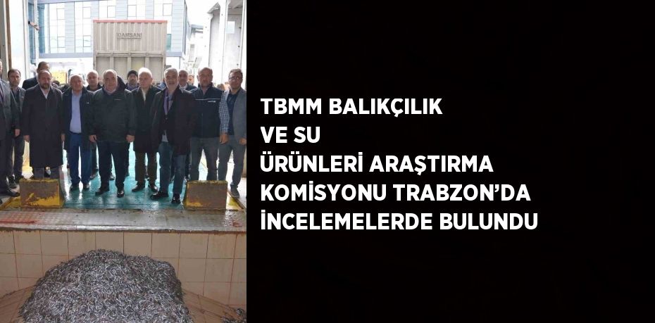 Balıkçılık ve su ürünleri