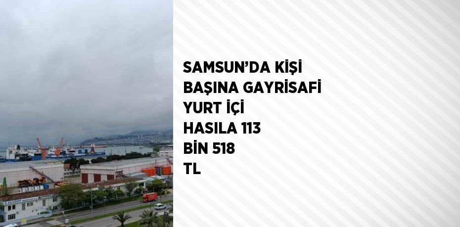 SAMSUN’DA KİŞİ BAŞINA GAYRİSAFİ YURT İÇİ HASILA 113 BİN 518 TL