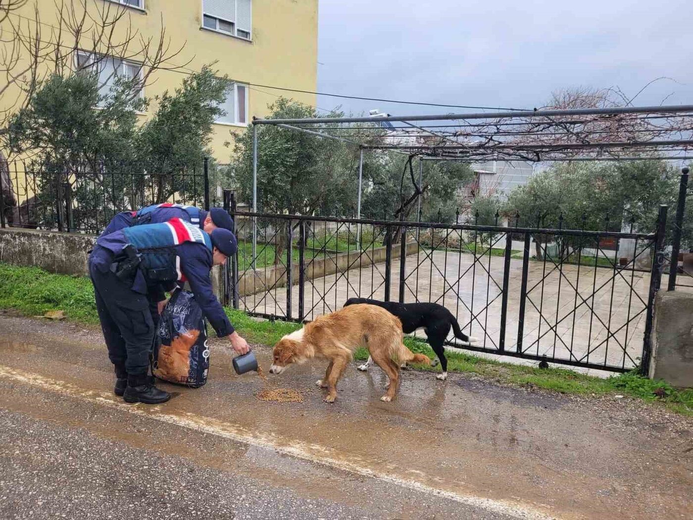 ZORLU KIŞ ORTAMINDA JANDARMADAN