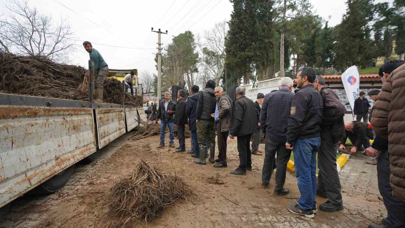 Balıkesi̇r Büyükşehi̇rden Üreti̇ci̇lere Meyve Fi̇danı Desteği̇