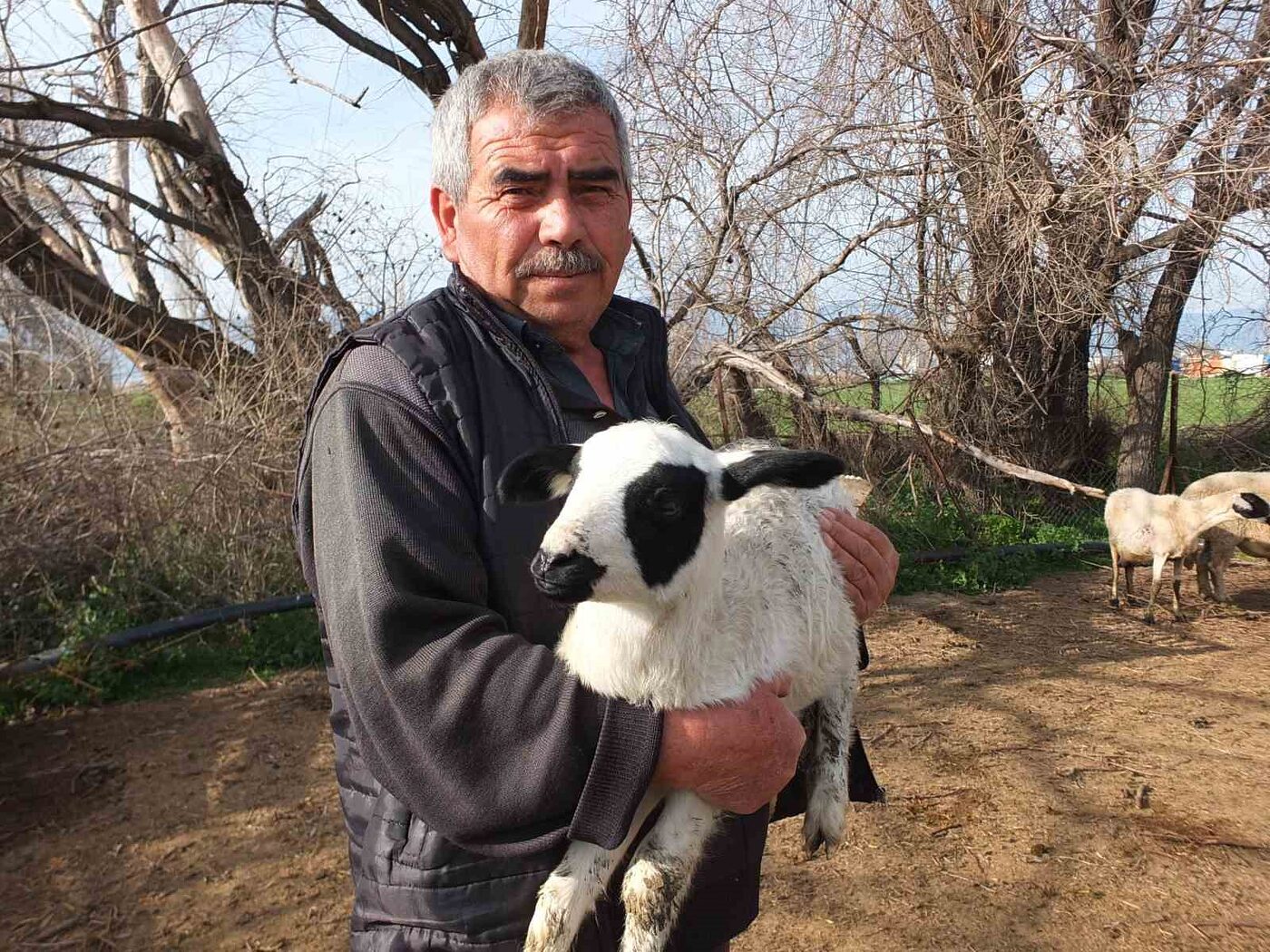 Kuzuların Kesi̇lmesi̇ne Gönlü Razı Olmadı