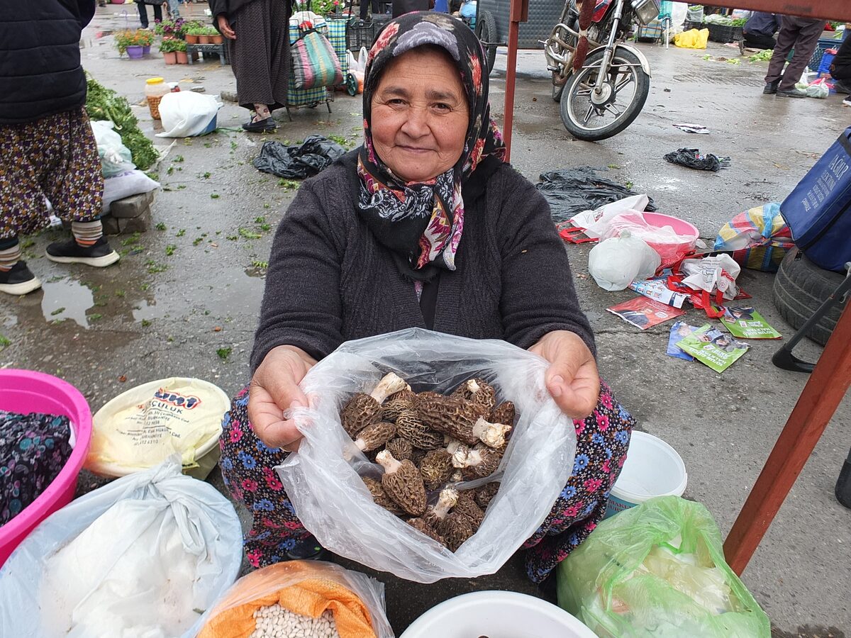 Burhaniye'de, bahar yağışları ile