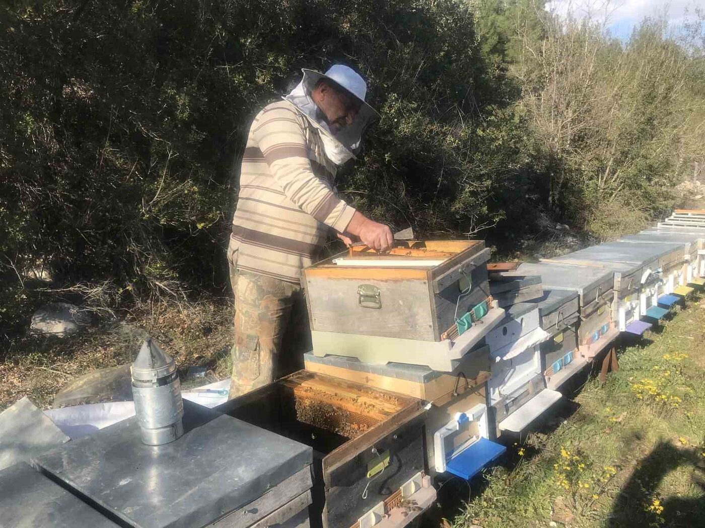 Arıcılar yeni sezona hazırlanıyor