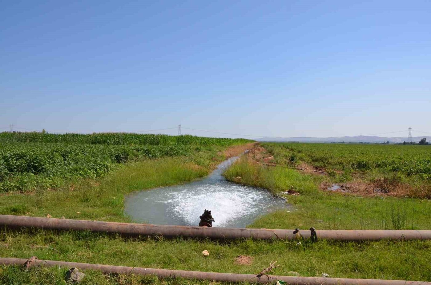 Dicle Elektrik; Şanlıurfa, Mardin,