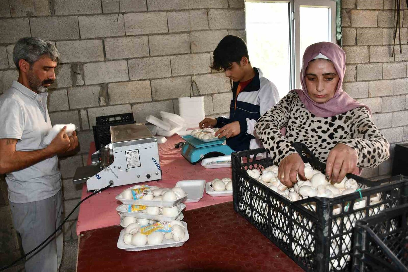 Şanlıurfa’nın Siverek ilçesinde, evinin