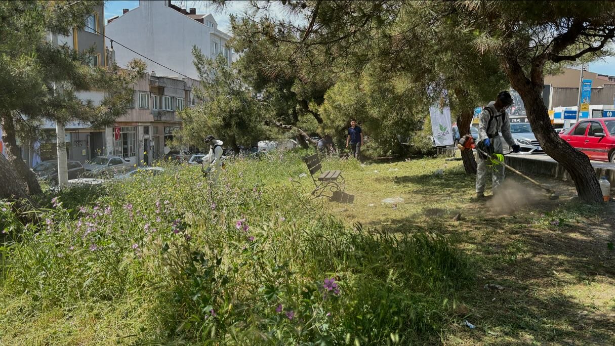 Bandırma Belediyesi ekipleri, daha