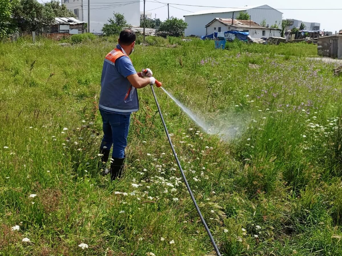 Bandırma Belediyesi ekipleri, ilçede