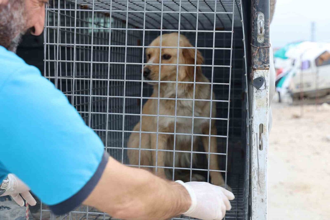 Hatay’ın Defne ilçesinde görülen