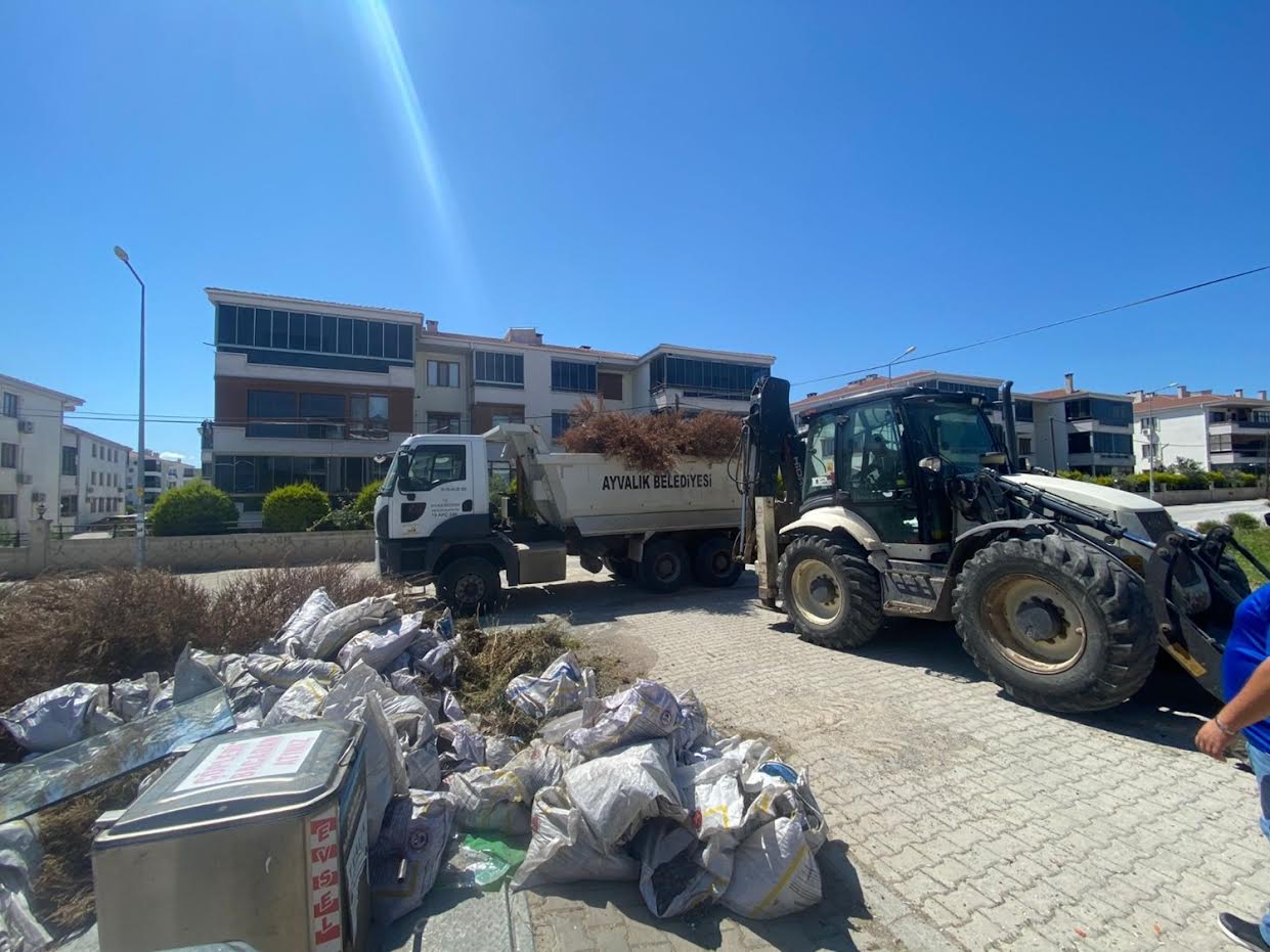 Ayvalık Belediyesi Park-Bahçeler ve