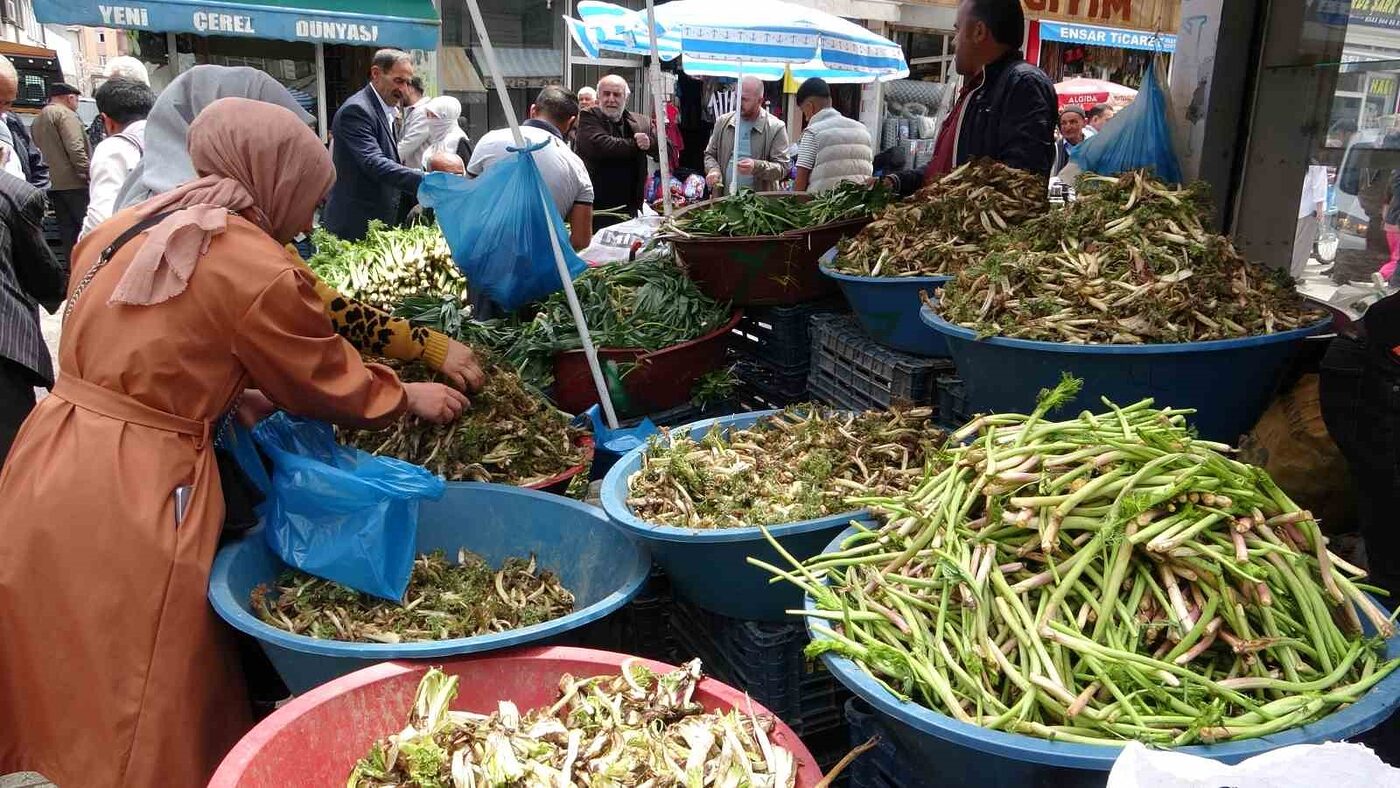 Van’da dağların yüksek kesimlerinde