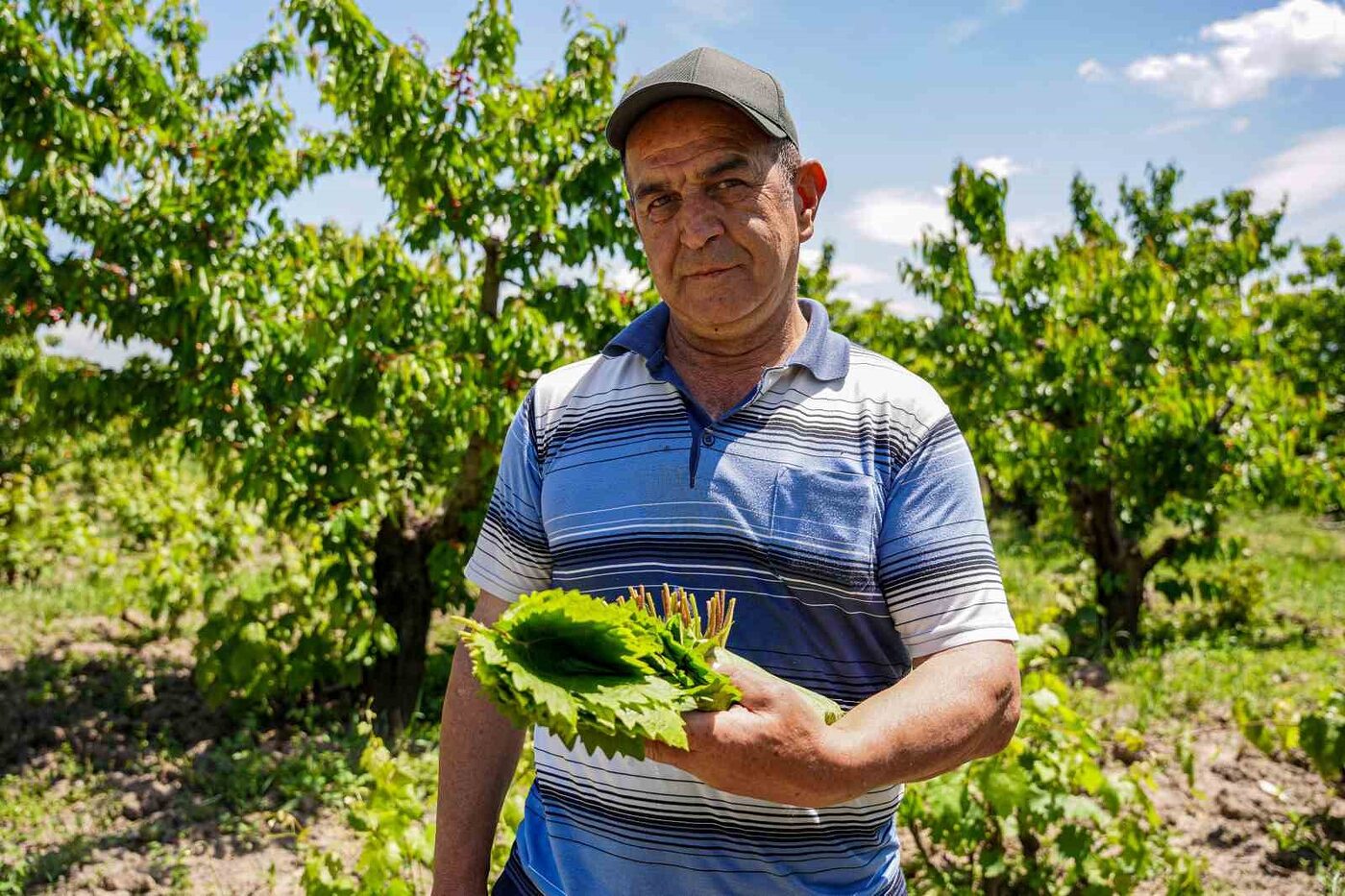 Tokat’a özgü ince, narin