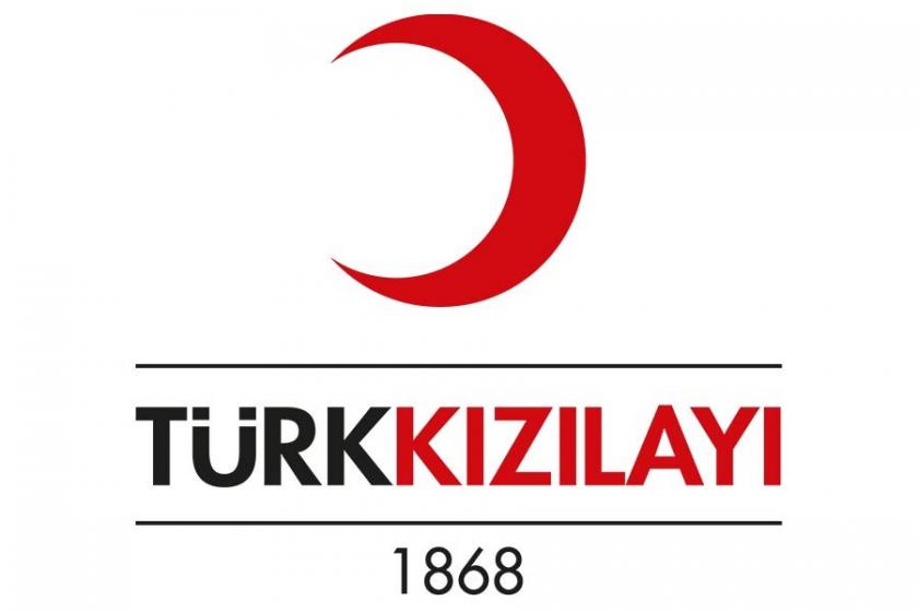 Türk Kızılay, Uluslararası Kızılay