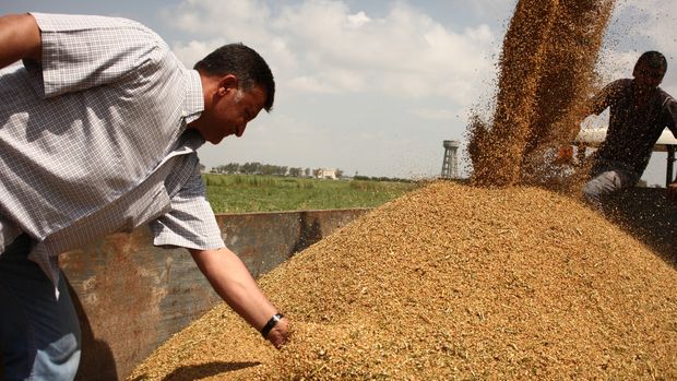 Türkiye Ziraat Odaları Birliği