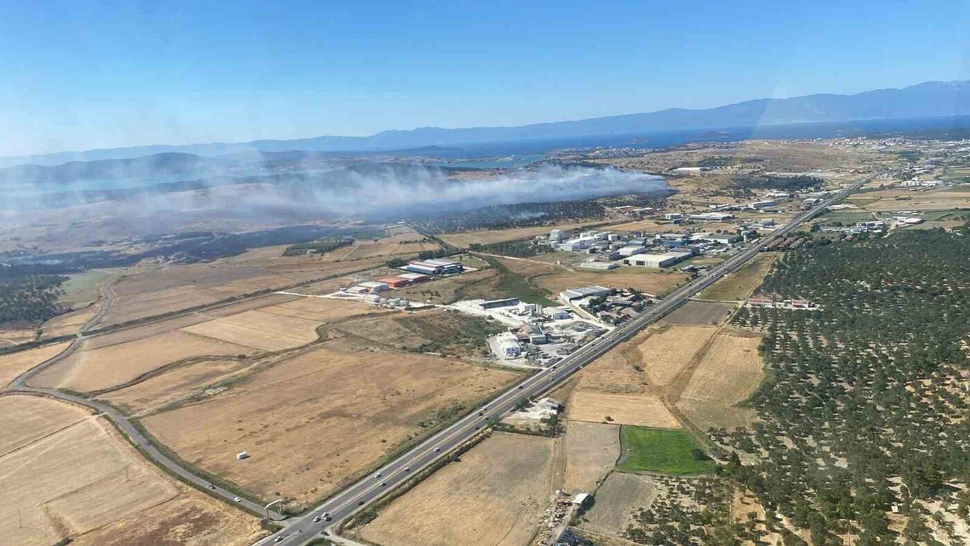 Balıkesir’in Ayvalık ilçesinde otluk