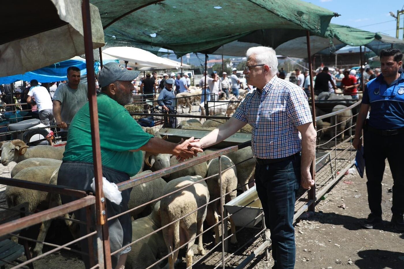 Balıkesir’in Burhaniye Belediyesi Kurban