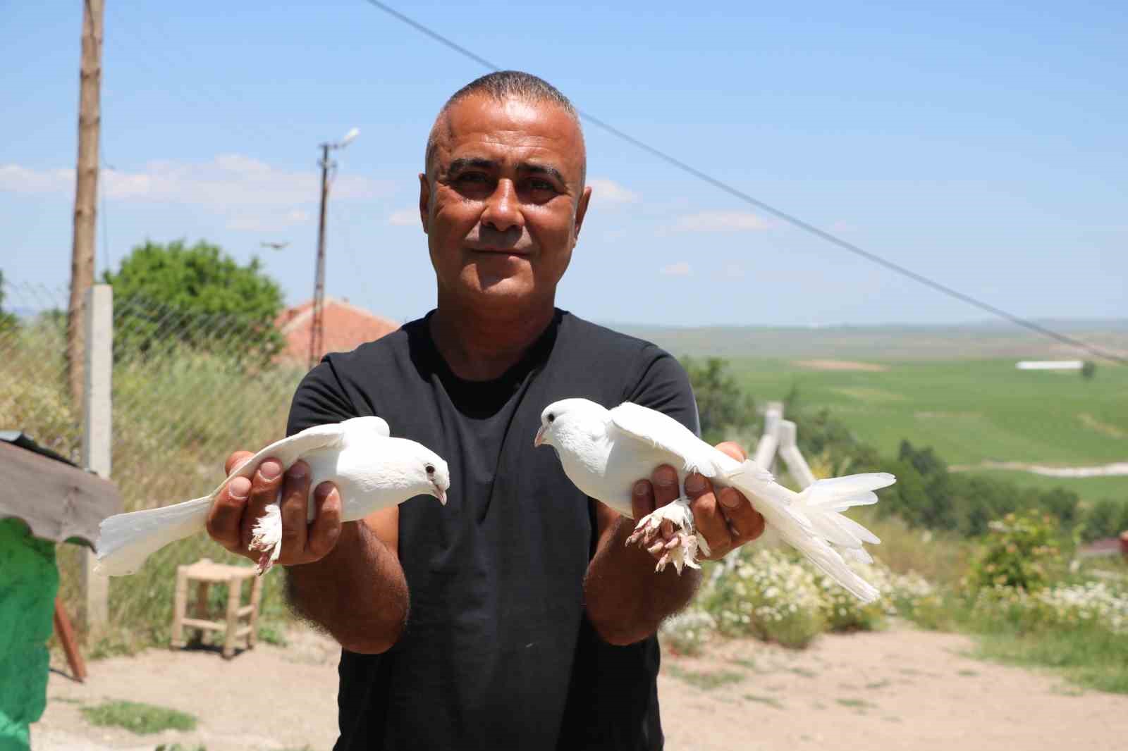 Yozgat’ın Sorgun ilçesine bağlı